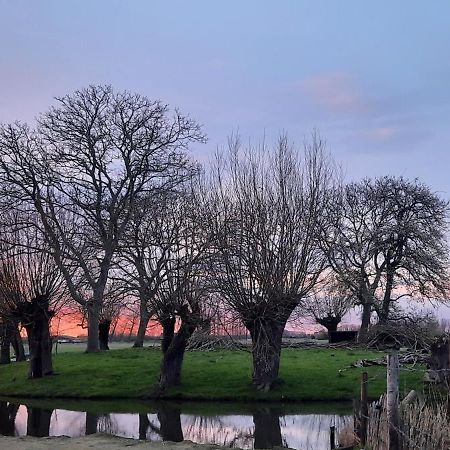 Villa La vache au lit à Damme Extérieur photo